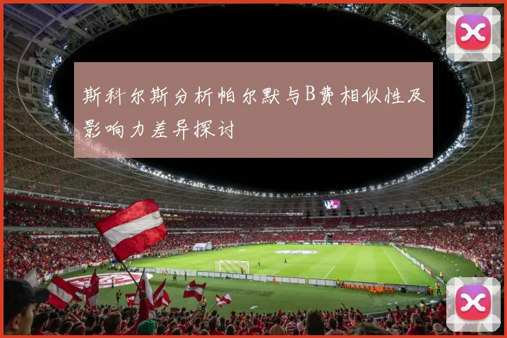斯科尔斯分析帕尔默与B费相似性及影响力差异探讨
