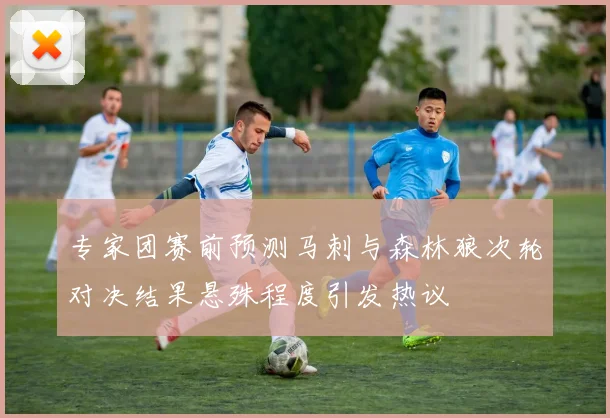专家团赛前预测马刺与森林狼次轮对决结果悬殊程度引发热议